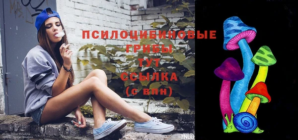 тгк Коряжма