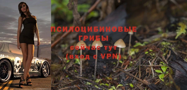 твердый Красноперекопск
