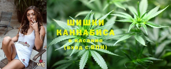 соль ск Кукмор