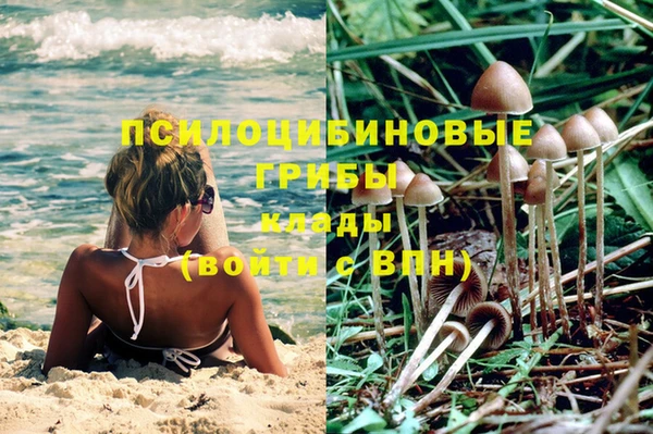 прущая мука Краснослободск