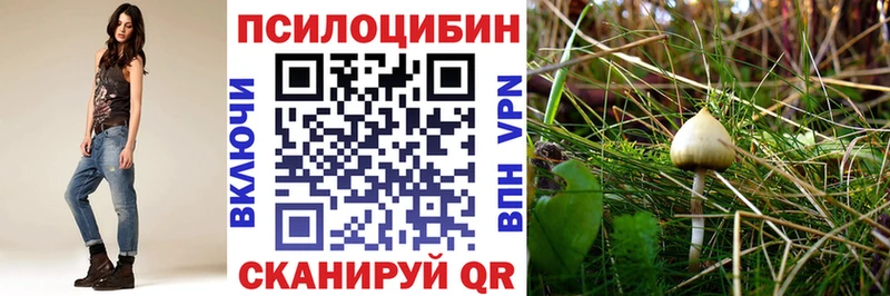 сколько стоит  Красавино  Псилоцибиновые грибы мицелий 